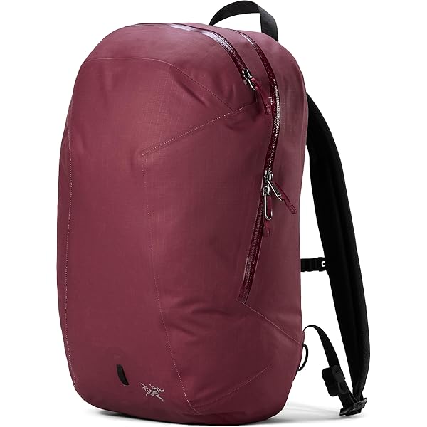 Amazon.co.jp: ARC'TERYX (アークテリクス) バックパック Granville 16