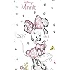 Disney Minnie Mouse ディズニー - Disney Minnie Mouse FVGA(480×800)壁紙 83893