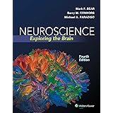 Neuroscience 4th Edition: Exploring the Brain