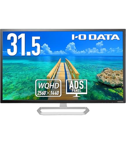 Amazon.co.jp: IODATA LCD-DF321XDB-A 31.5型 フルHDディスプレイ 