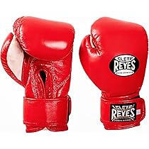 81skA3QLCqL._AC_UL210_SR210,