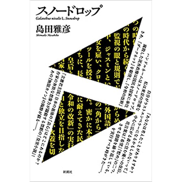 ★帯あり★マンハッタン英雄未満★森雅裕★新潮社★単行本★ Amazon.co.jp: マンハッタン英雄未満 : 森 雅裕: 本