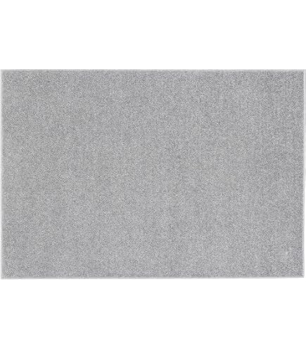 Amazon｜スミノエ(Suminoe) ラグ ライトグレー 140×200cm 防炎 防ダニ