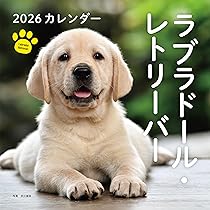 Amazon | ラブラドール・レトリバー 2026年 カレンダー / ブラウン
