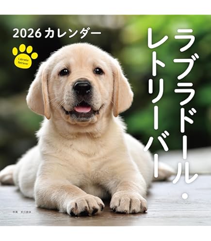 ラブラドールページ Amazon | THE DOG カレンダー 2026 壁掛け 大判サイズ [ラブラドール