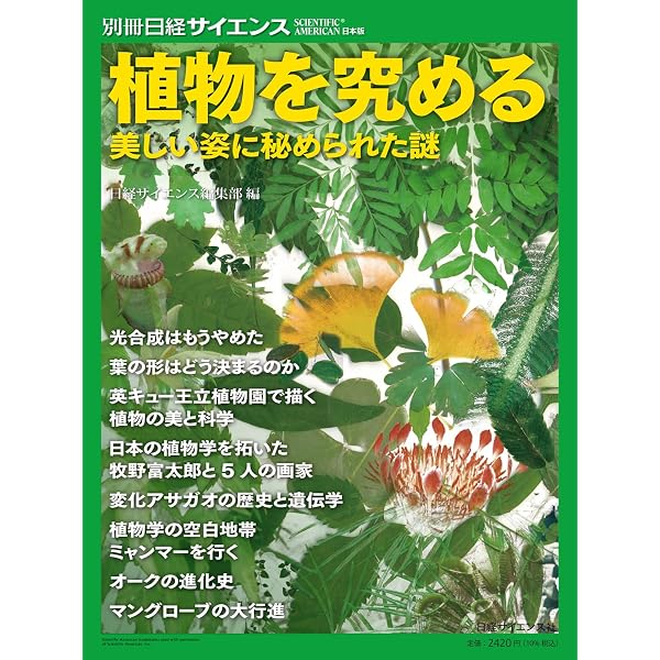【中古】高山植物学 ?高山環境と植物の総合科学? Amazon.co.jp: 高山植物学 ―高山環境と植物の総合科学― : 増沢 武弘