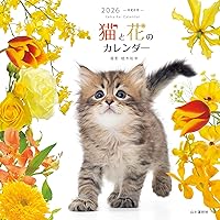 カレンダー2025 愛しの子猫とフラワー（月めくり/壁掛け） (ヤマケイ