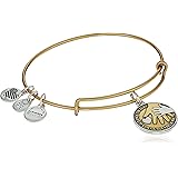 Alex and Ani Hand in Hand II Two-Tone Bangle