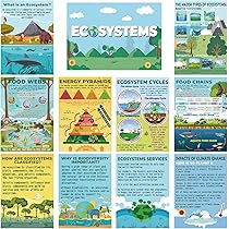 16-Pack Biology Science Posters For Classroom – 11x16 Inch Middle & High School Science Decor