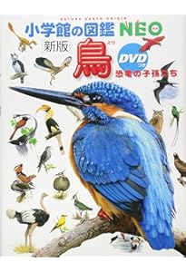 DVD付 鳥 (講談社の動く図鑑MOVE) | 講談社, 川上 和人 |本