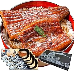 大五うなぎ工房 国産うなぎ 長蒲焼 4尾セット (約120g&times;4尾) タレ 山椒 付き 鰻 蒲焼 冷凍 プレゼント 贈答 ギフト ギフトラッピング ギフト包装 【のし無し】