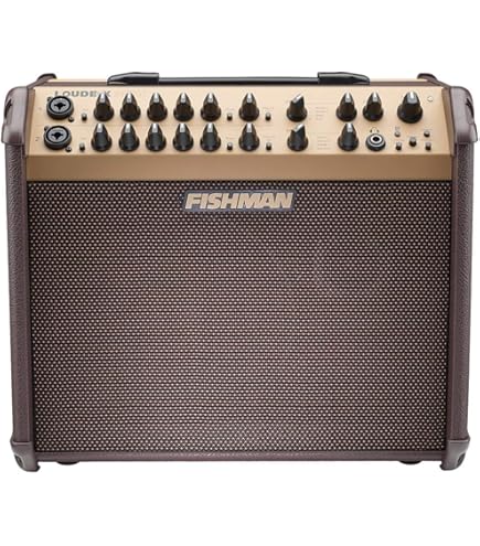 Amazon.co.jp: Fishman Loudbox Mini Charge Amplifier : 車＆バイク