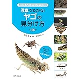 写真でわかる！ヤゴの見分け方　全130種　本州・四国・九州本土で見られるヤゴの図鑑