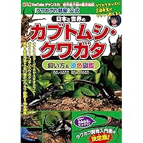 Amazon.co.jp: 魅惑のクワガタ : 本
