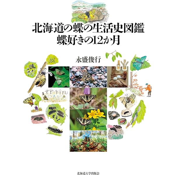 完本 北海道蝶類図鑑 | 永盛 俊行, 永盛 拓行, 芝田 翼, 黒田 哲