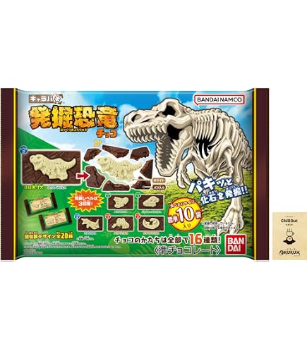 Amazon.co.jp: 恐竜ブック缶 (14個入) チョコレート エイジ・オブ