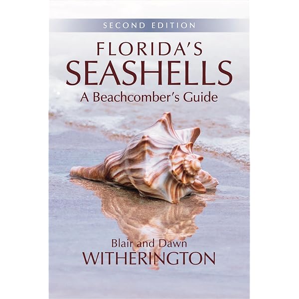Amazon | The Encyclopedia of Shells | Wye, Kenneth R. | Biological