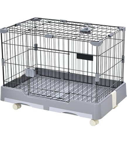 Amazon | ミニマルランド ラビットケージ760 グリーン 組立サイズ