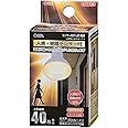 オーム(OHM) 電機 LED電球 レフランプ形 E17 40形相当 人感・明暗センサー付 電球色 LDR4L-W/S-E17 9 06-3413