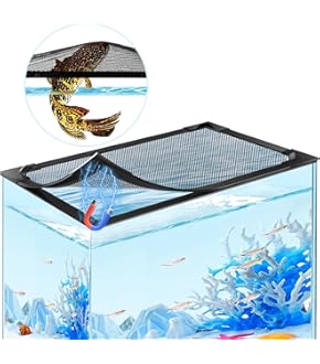 EHEIMクラシック2213 グレー ADA cube GARDEN 水槽 EHEIMクラシック2213 グレー ADA cube GARDEN 水槽 EHEIM