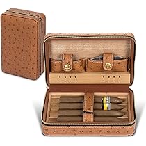 81tUKJ83noL._AC_UL210_SR210,