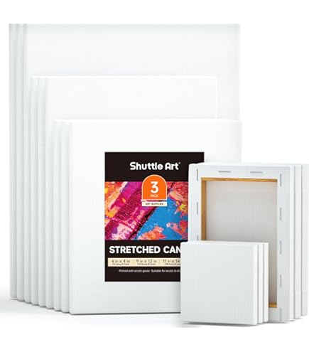 陰の実力者になりたくて 全巻 特典 キャンバスアート アレクシア 陰の実力者になりたくて! キャンバスアート アレクシア