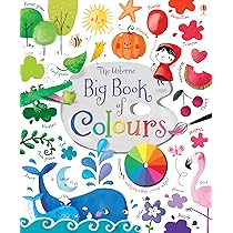 The Colour of a by Bill Brooks 洋書 Amazon | Big Book of Colours | Brooks, Felicity, Touliatou