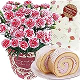 花のギフト社 母の日 花とスイーツ 花 鉢植え カーネーション 花鉢 プレゼント お菓子 スイーツ