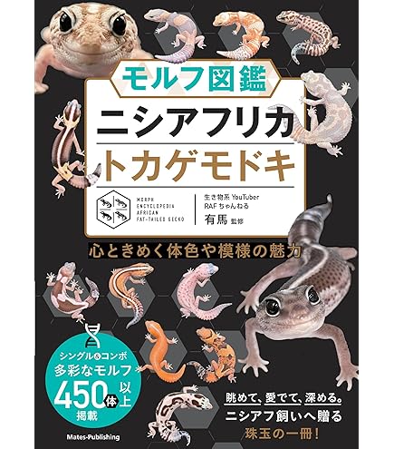 Amazon | 三晃商会 SANKO レプタイルボックス | Sanko | 飼育ケース