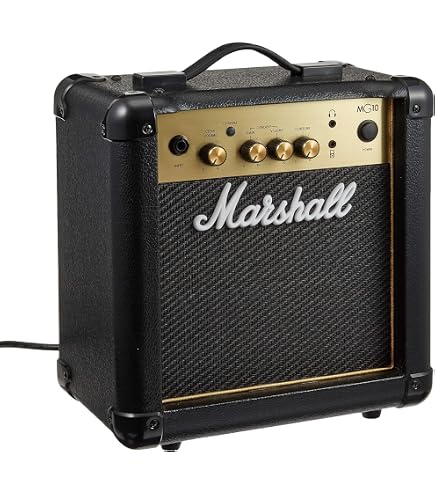 Amazon | Roland ローランド ギターアンプ マイクロキューブGX MICRO 
