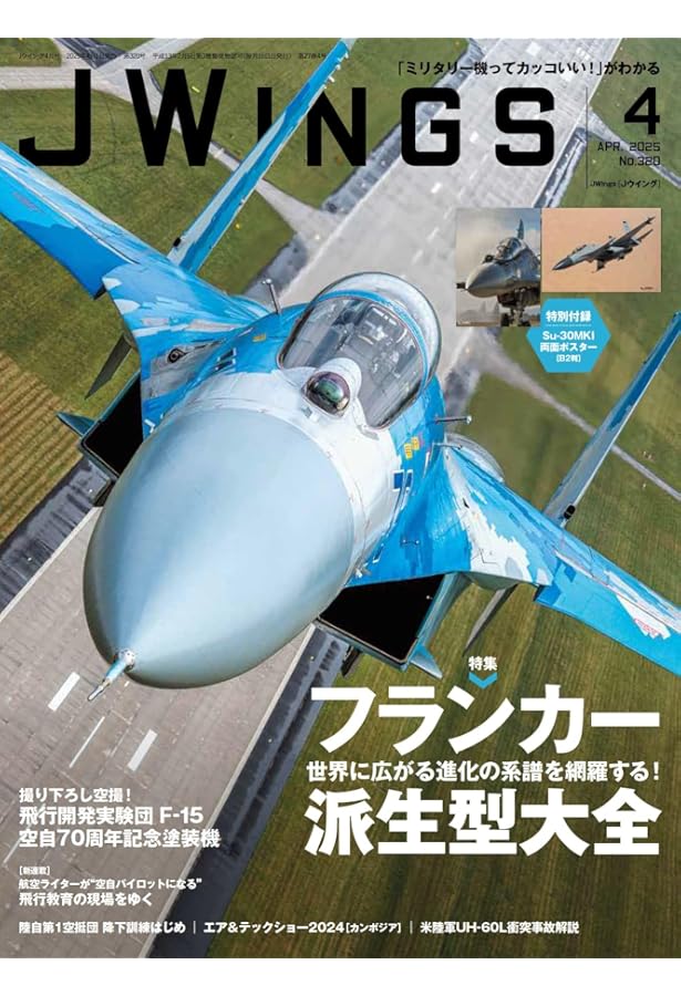 ロシア空軍 スホーイ Su-30SM Su-25 2枚セット ロシア空軍 スホーイ Su-30SM Su-25 2枚セット ロシア空軍 スホーイ Su