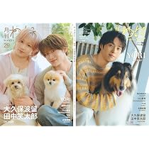 番犬 Amazon.co.jp: 月刊わんこvol.29 表紙巻頭特集：大久保波留・田中笑