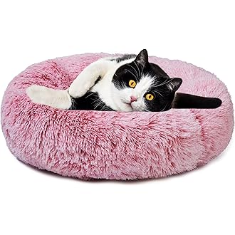 Amazon Co Jp 売れ筋ランキング 犬用ベッド クッション の中で最も人気のある商品です