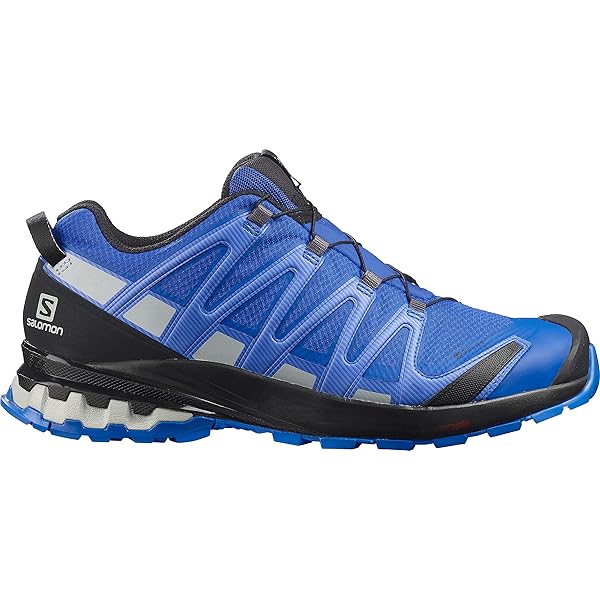 Amazon | Salomon (サロモン) メンズ Xa Pro 3D v8 GTX トレイル 