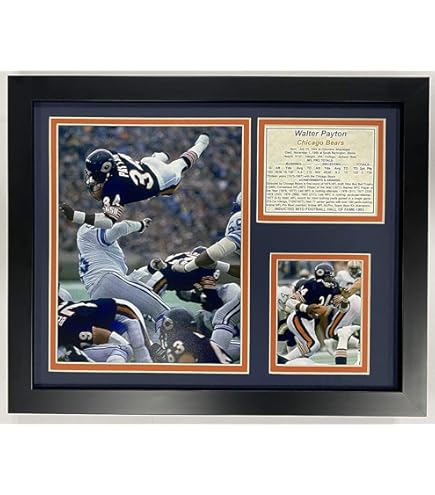 MLB シカゴカブス 2016ワールドシリーズ優勝 写真額縁 MLB