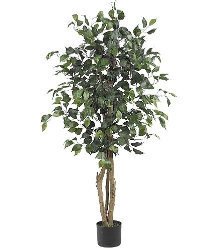 Amazon｜Nearly Natural 人工樹木 金のなる木 ホワイトプランター付