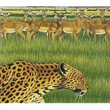 Zoo [CCCD]