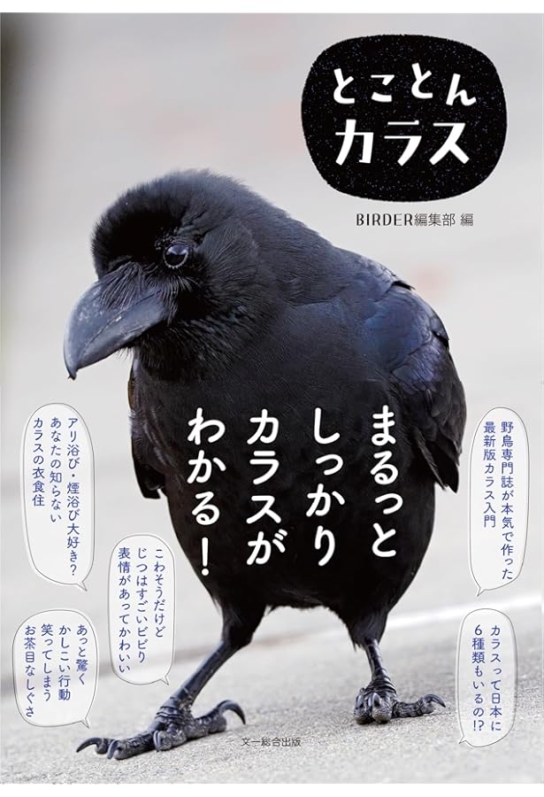 Amazon.co.jp: 眠れなくなるほど面白い 図解 カラスの話: 明日から