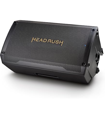 Roland CUBE-20XL 20-Watt 1x8-Inch Bass Combo Amp : Amazon.com.au