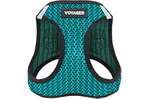 Best Pet Supplies Voyager Step-in Air Dog Harness - All Weather Mesh Step in Vest Harness for Small and Medium Dogs by - Harness (Turquoise 2-Tone), X-Small