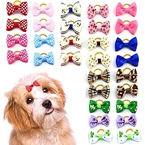 dogs accessories amazon