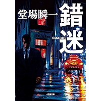 錯迷 (小学館文庫)