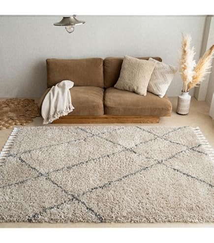 Amazon | スミノエ HOME ラグマット ウール100ラグ Zipscot ジップ