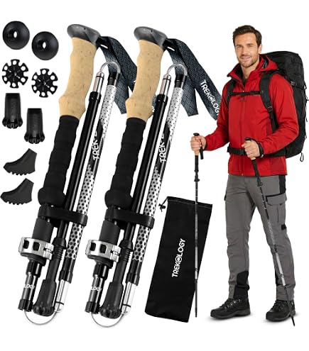 LEKI Wanderfreund High Five Single Staff - 63-120cm | Aluminum