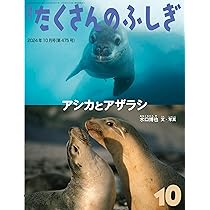日本にいたゾウ (たくさんのふしぎ2024年12月号) | 大島 英太郎 |本