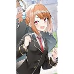 乙女ゲー世界はモブに厳しい世界です XFVGA(480×854)壁紙 ブレイブ
