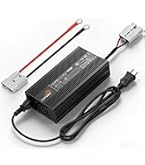 DC出力専用 DC12V 60Ah リチウムイオンポータブルバッテリー 充電器付 Amazon | LVYUAN（リョクエン）DC14.6V 20A LiFePO4 リン酸鉄リチウム