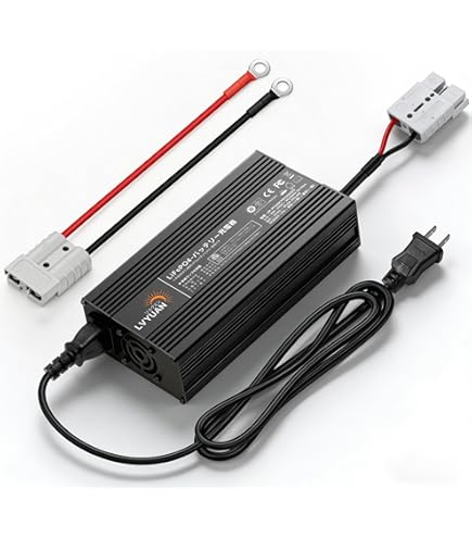 Amazon.co.jp: Iota DLSシリーズコンバータと充電器、55 Amp iq4 : 車