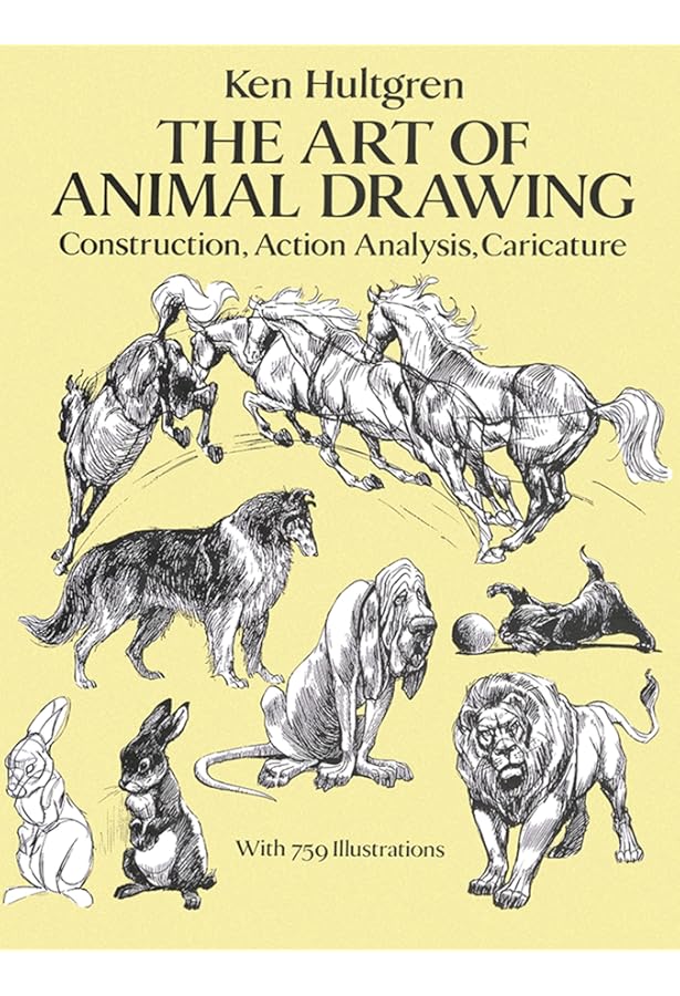 Amazon | Anatomy for Artists: Drawing Form & Pose: The ultimate
