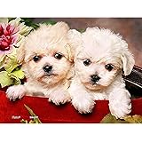 ピントー(Pintoo) 150ピース ミニパズル プラ製ジグソーパズル【ギフトボックスの子犬】(8X10cm)子供大人 破片なし カチっとハマる[P1073]